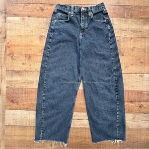 BDG Blue Striped Ankle Jeans